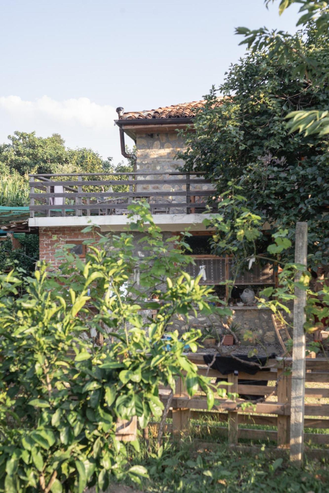 The House In The Village Pellumbas Εξωτερικό φωτογραφία