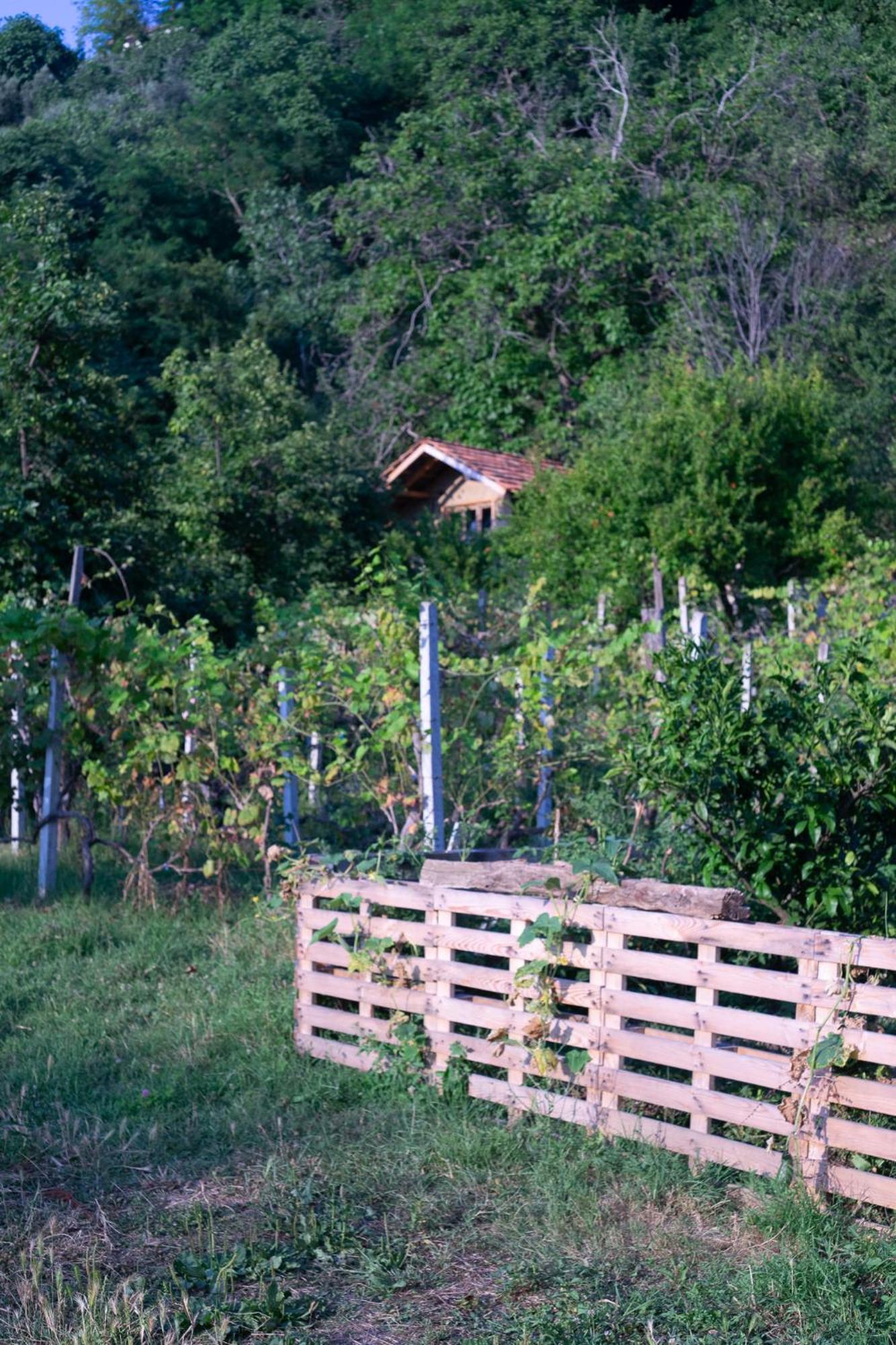 The House In The Village Pellumbas Εξωτερικό φωτογραφία
